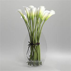Callas